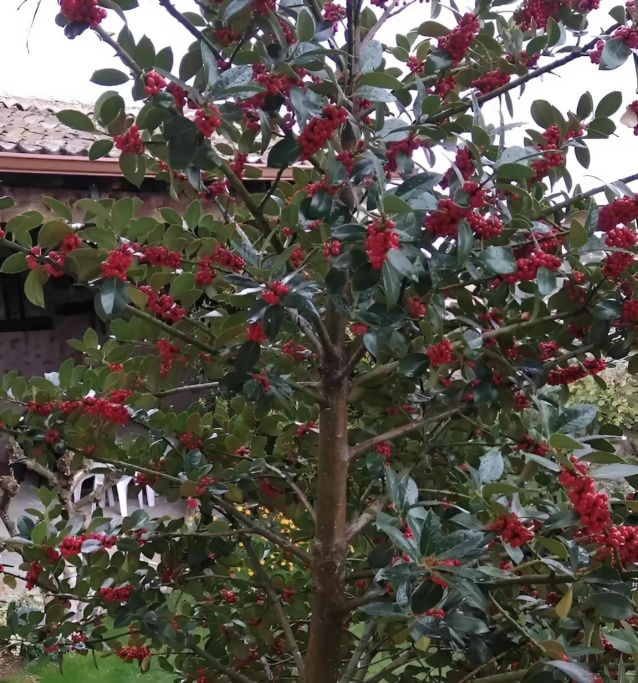 Casa Rural El Fresno Del Abuelo La Cuesta  Exteriér fotografie